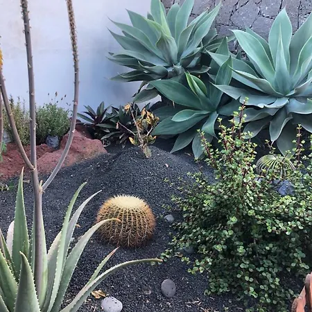 别墅 Tabaiba Lanzarote 普拉亚布兰卡