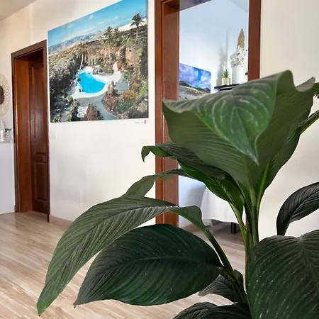 فيلة Tabaiba Lanzarote *