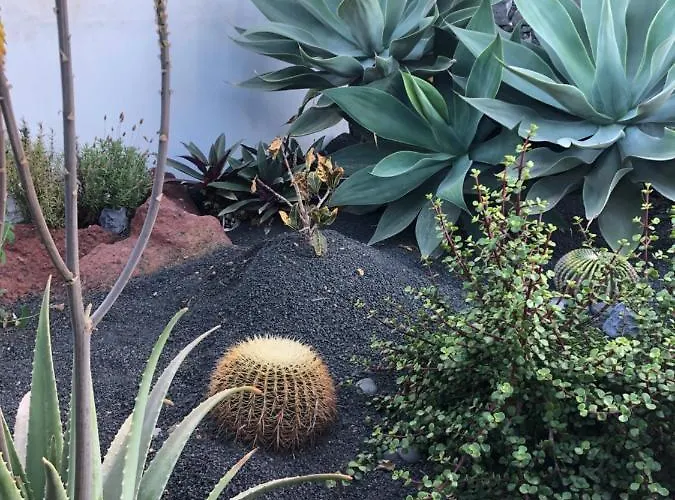 别墅 Tabaiba Lanzarote 普拉亚布兰卡